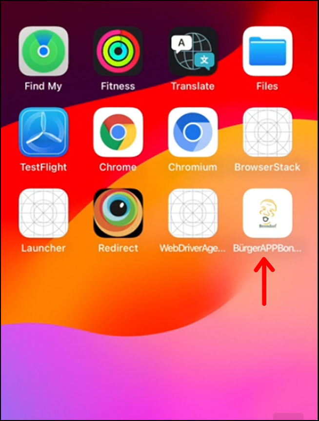 iPad Safari Screen 4